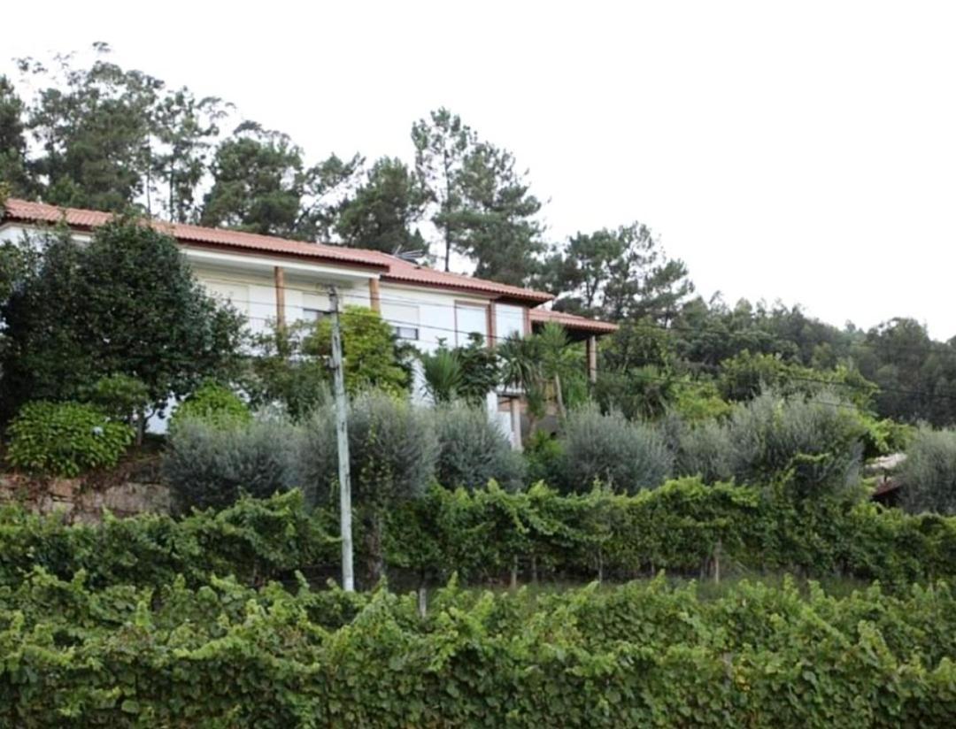 Quintinha D'Amelia Βίλα Celorico De Basto Εξωτερικό φωτογραφία